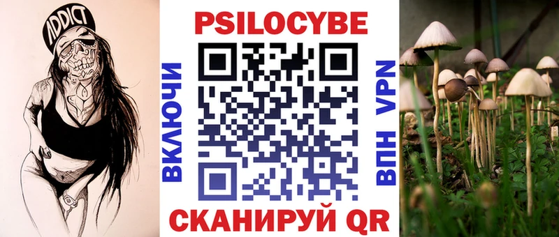 Псилоцибиновые грибы MAGIC MUSHROOMS  Купить закладки  Будённовск 